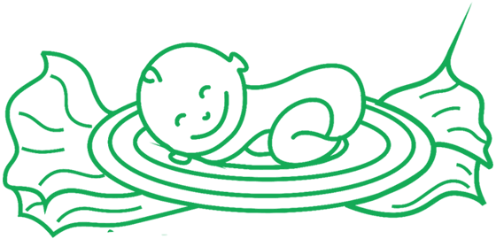 Primababy - Baby Cotton Pads